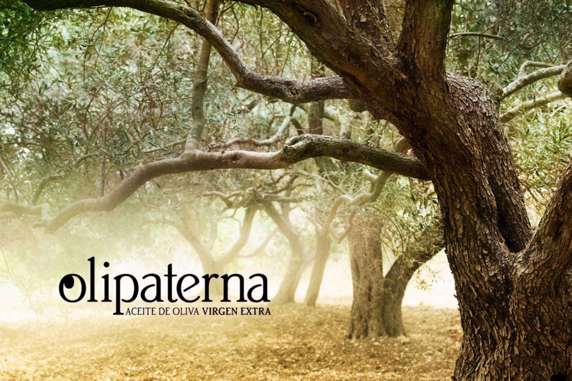 El aceite de oliva virgen extra de Olipaterna ¿Cuáles son sus beneficios?