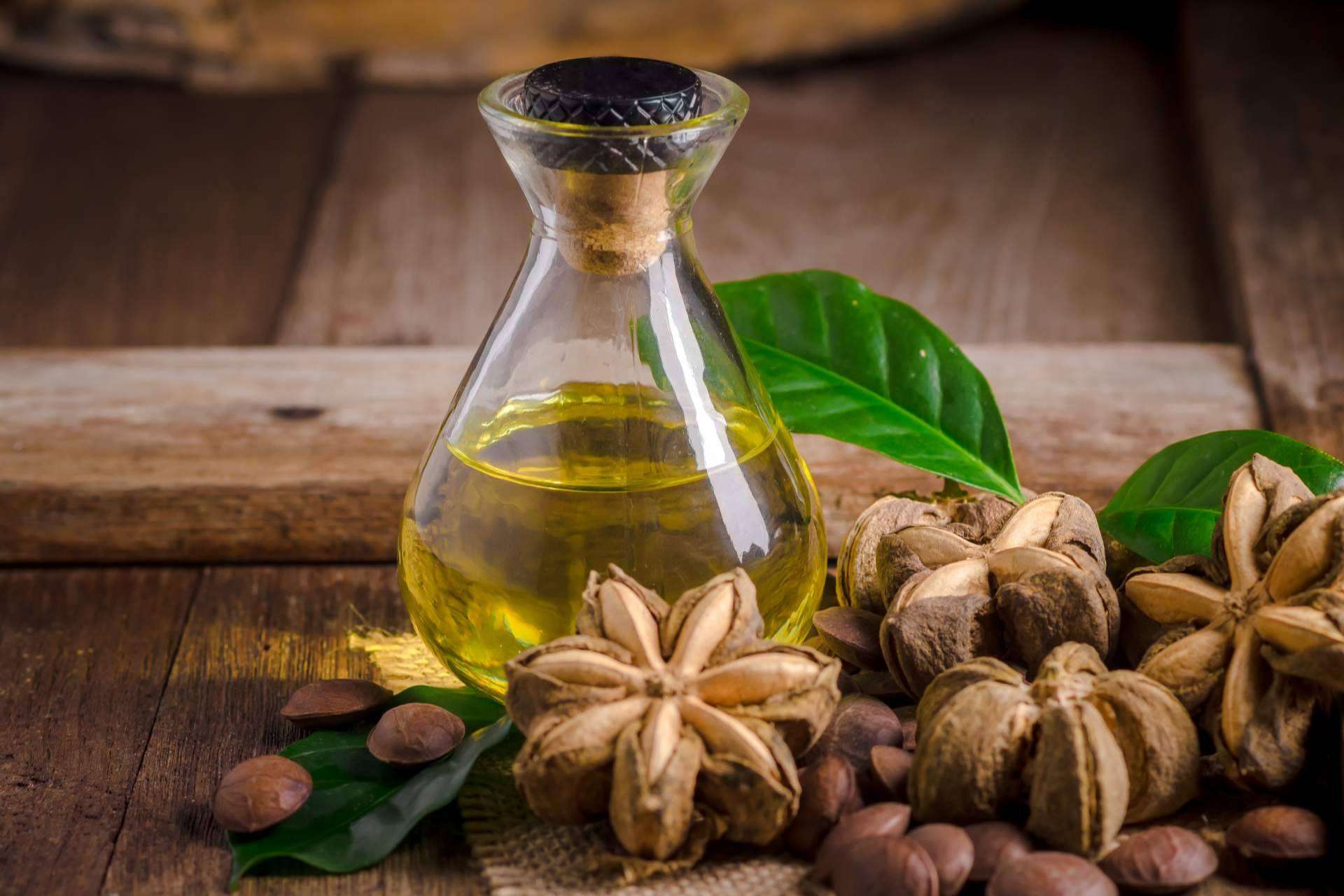 ¿Por qué son tan solicitados los aceites para el pelo de sacha inchi de CharoConector Healthy Style?