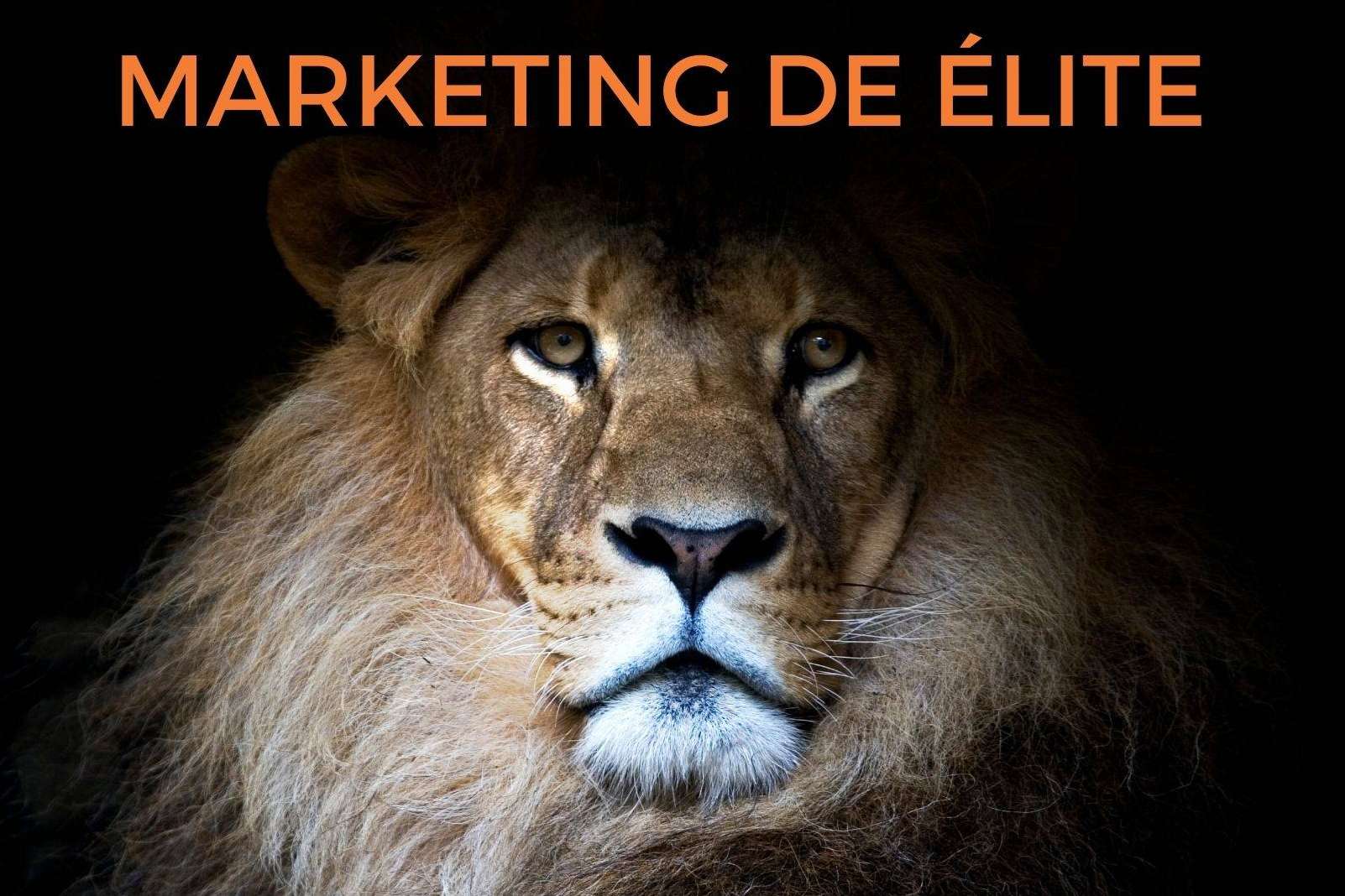 El León de Ventas presenta su nuevo libro, Marketing de Élite