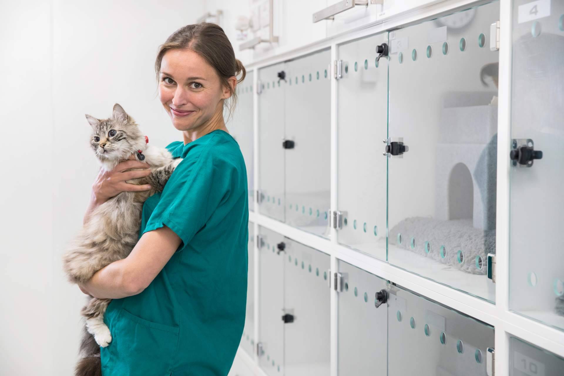 El seguro veterinario mejor valorado del mercado en Trustpilot es el ofrecido por Miwuki