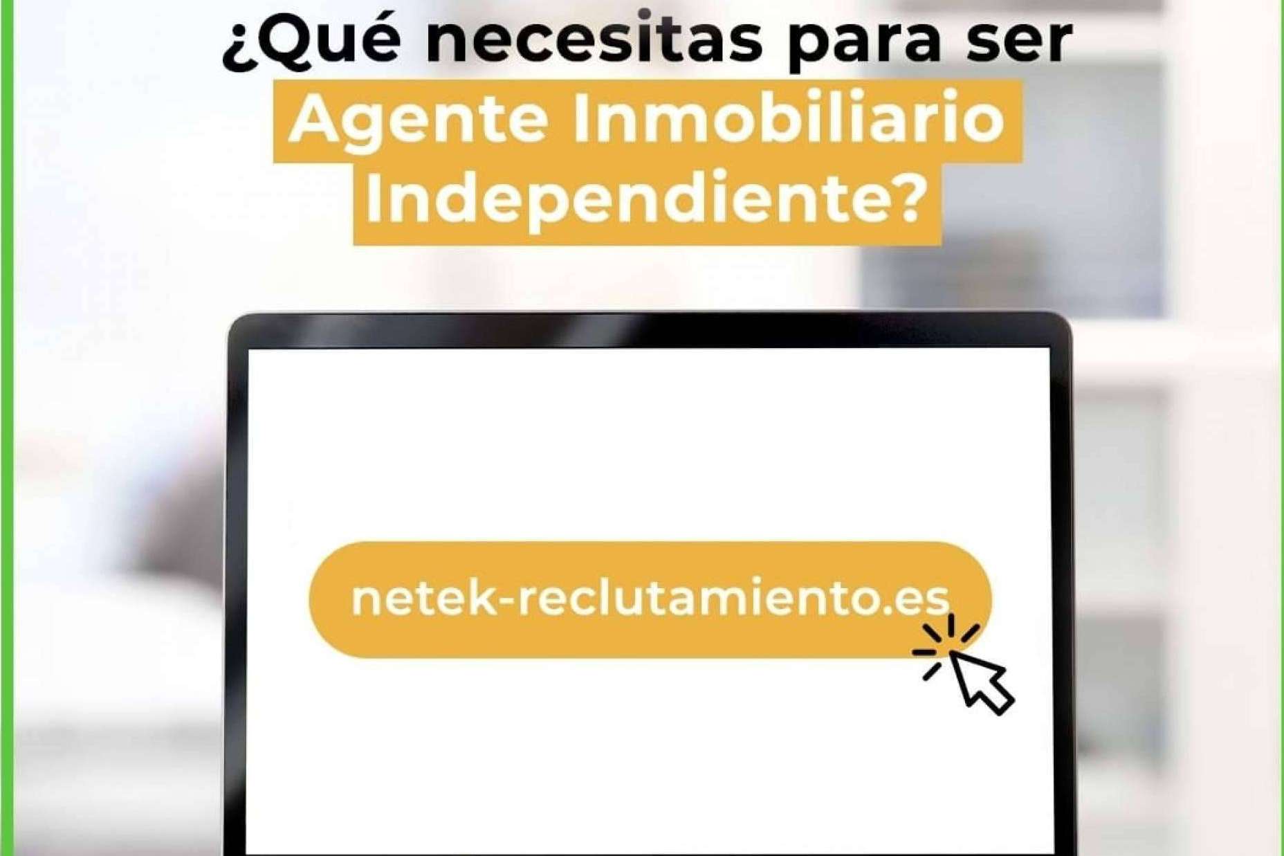 Formación para convertirse en un agente inmobiliario independiente, Netek