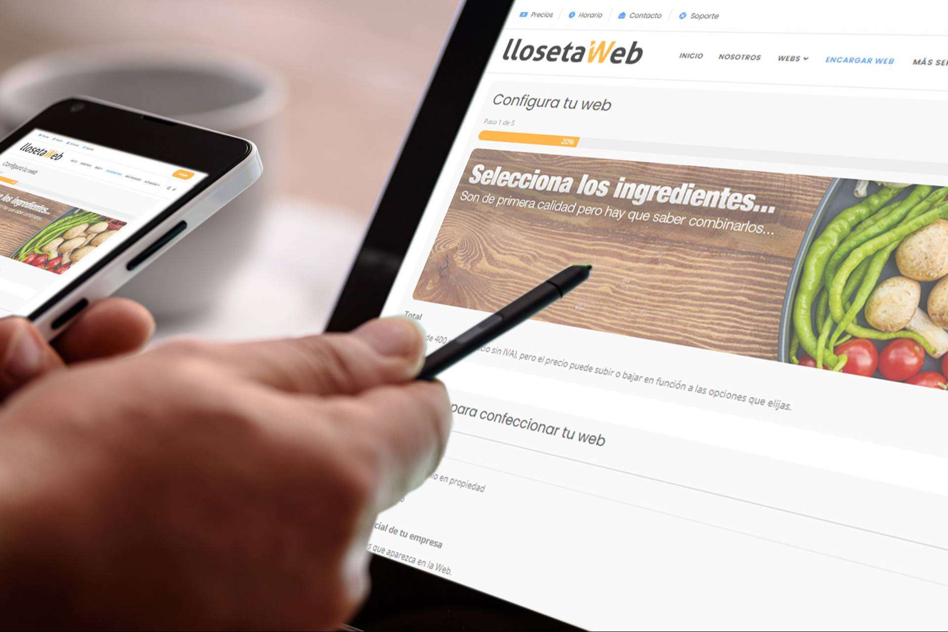¿Cómo solicitar una web simple? Llosetaweb