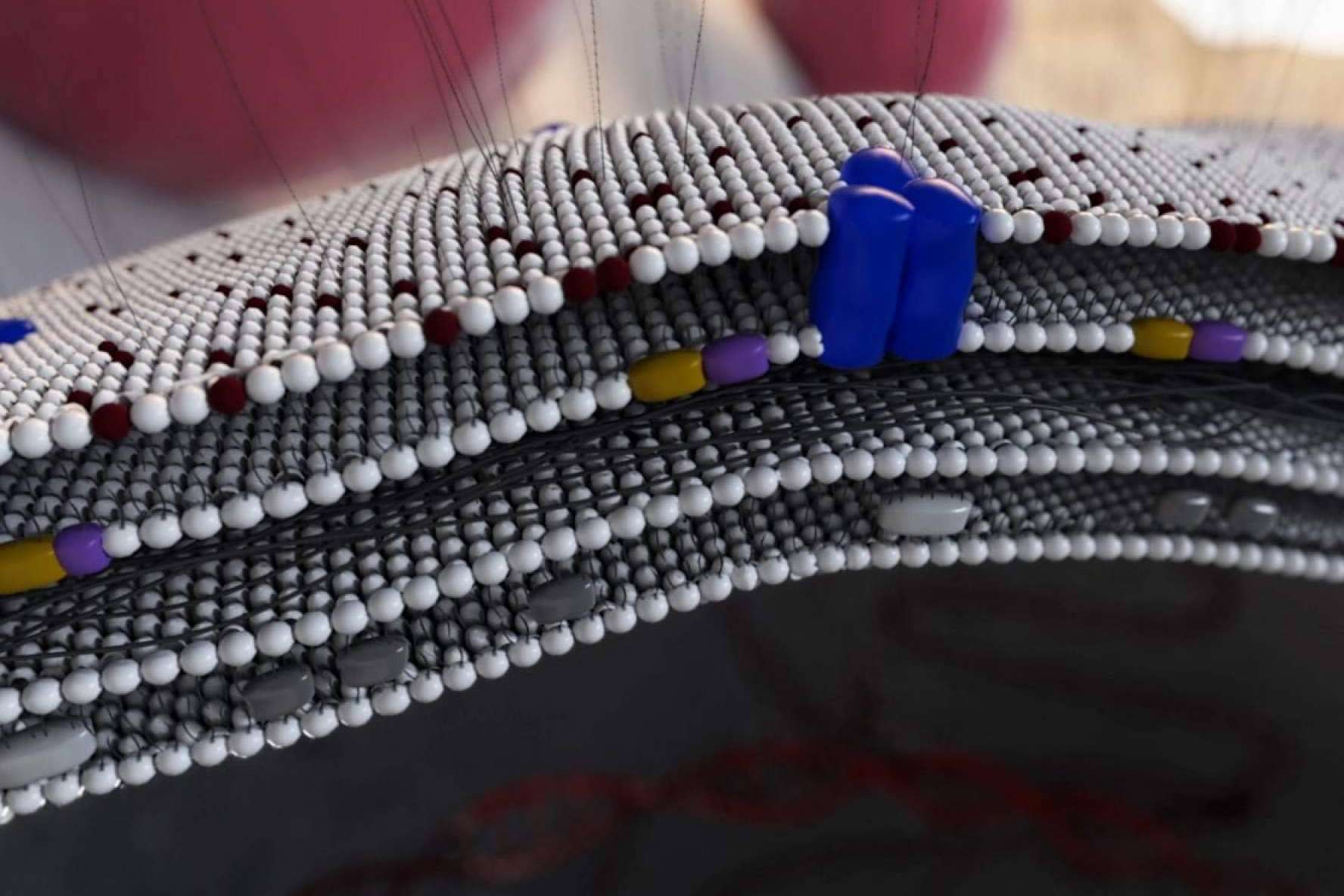 Animación 3D para medicamentos y MOA's (Mecanismos de Acción), así es la innovadora propuesta de Pixeldreams para el sector médico y farma