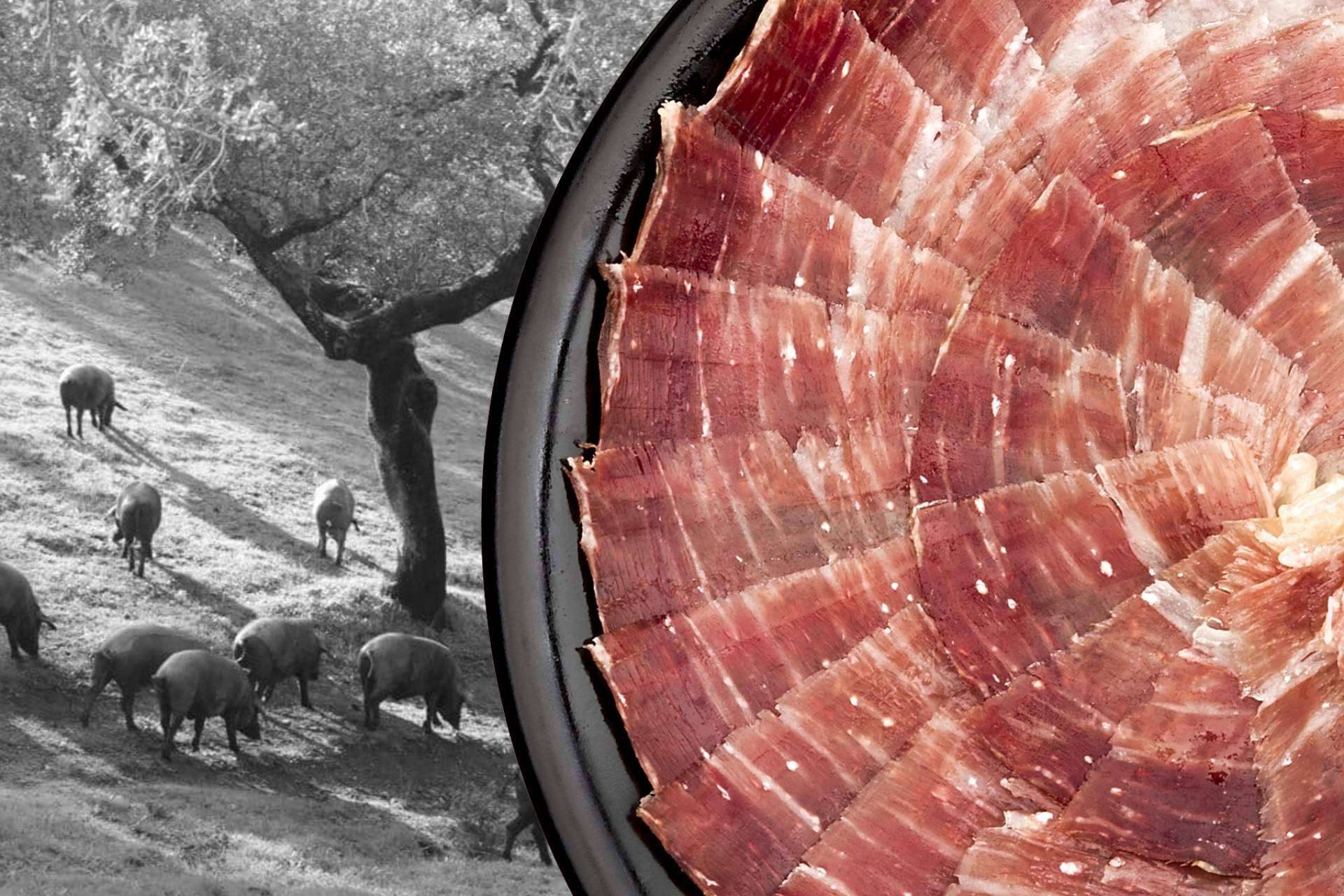 Segundín es una empresa galardonada por la alta calidad de su jamón ibérico