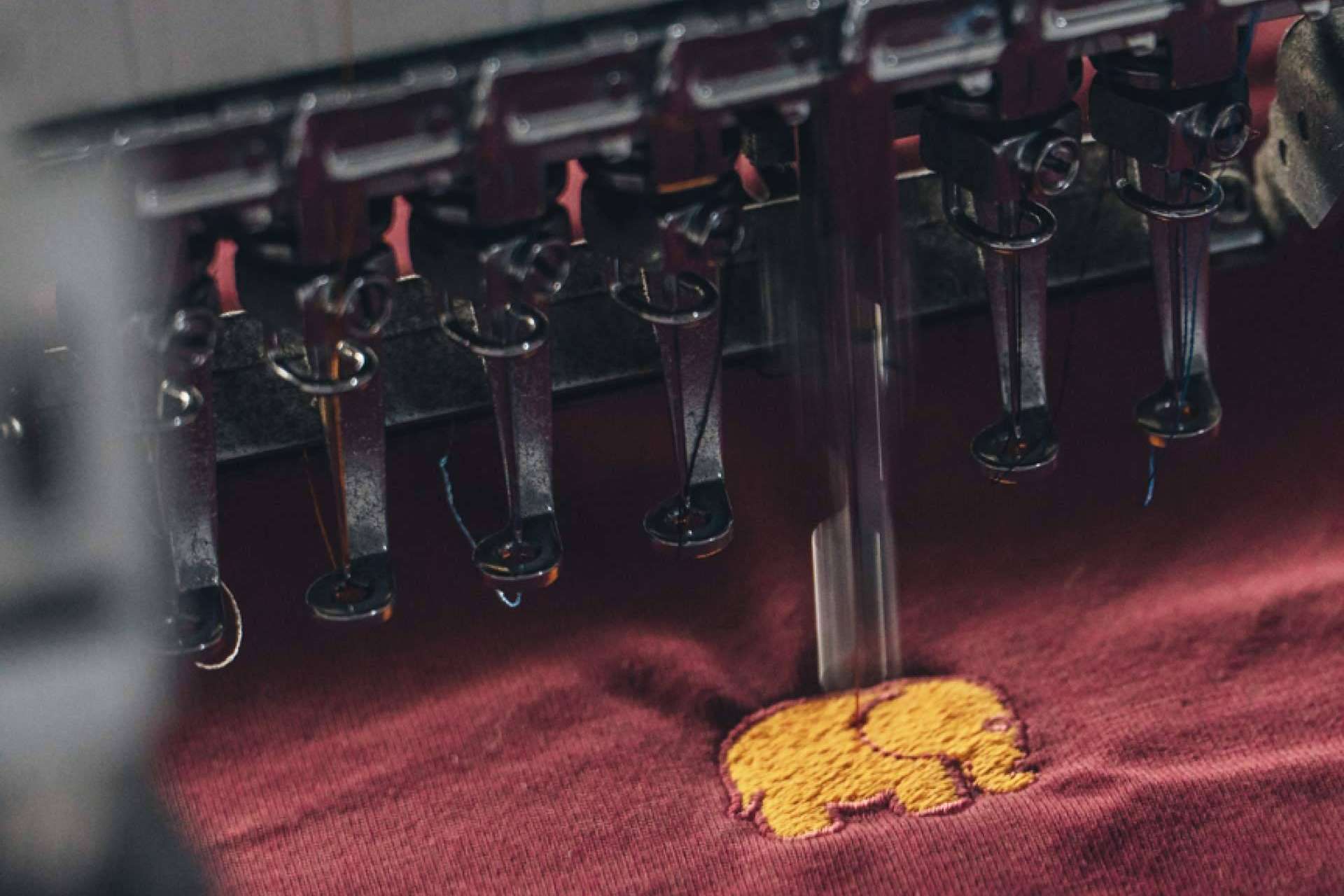 Trendsplant es la firma de moda que hace las cosas diferentes