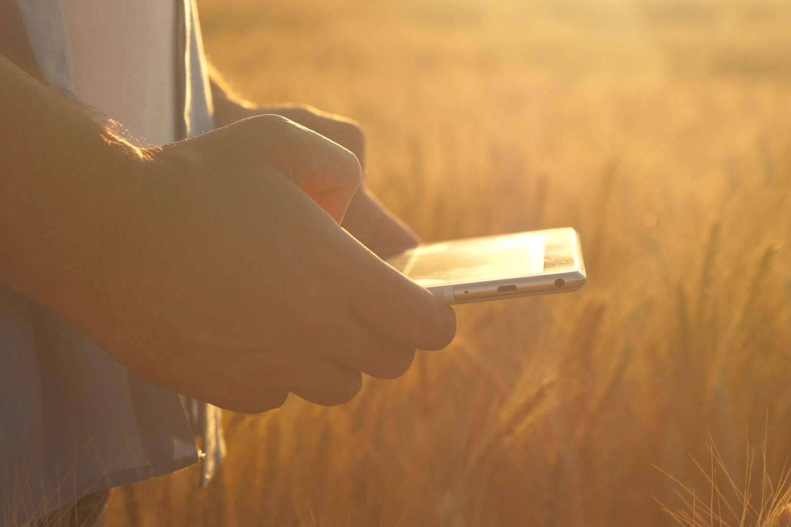 ERP Cuadernos de Explotación, el software de Certitec que permite optimizar la gestión de las explotaciones agrícolas y agropecuarias en España