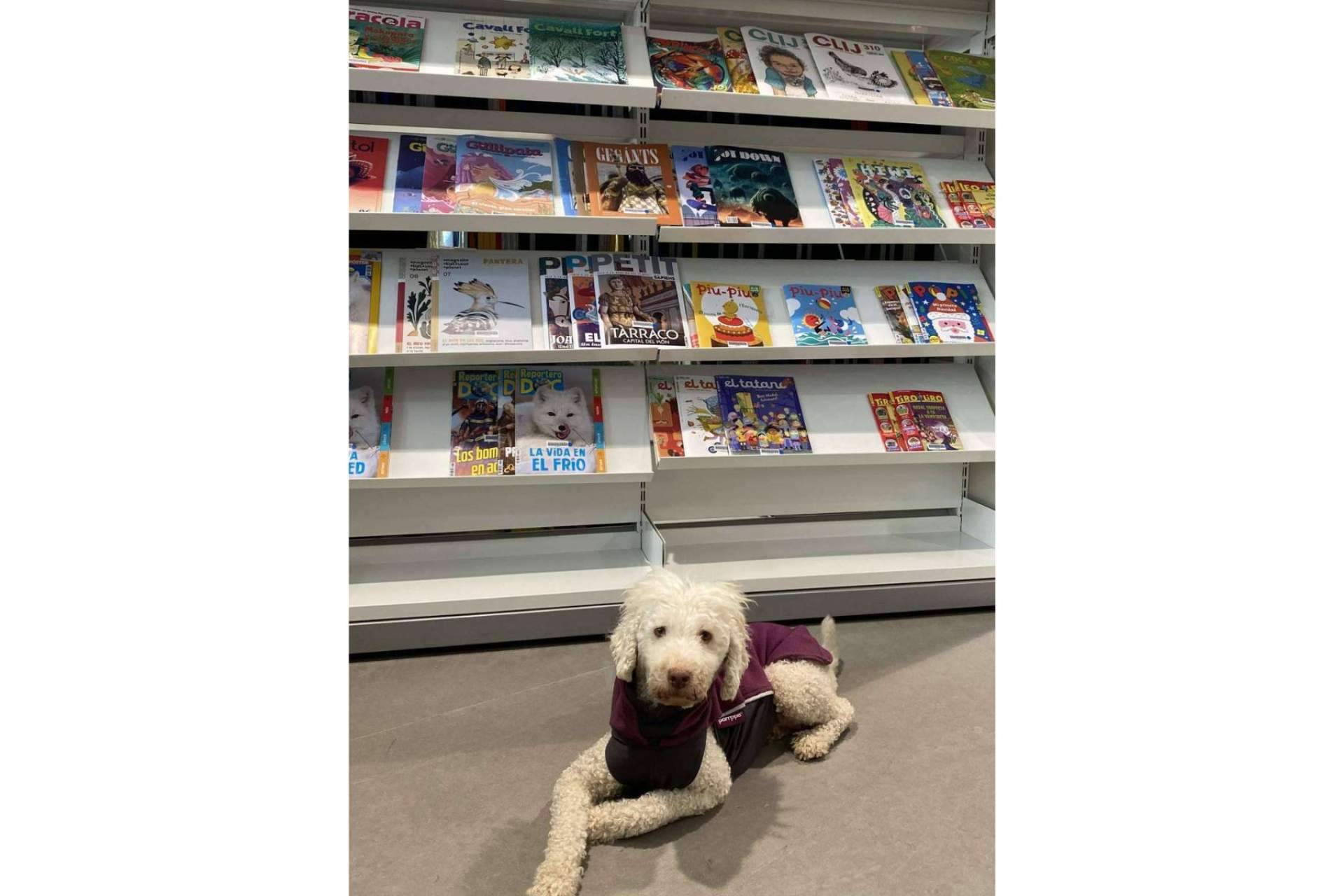 L'Almozara Can Bosc y su nuevo curso de educación canina entre semana a partir del lunes 13 de marzo
