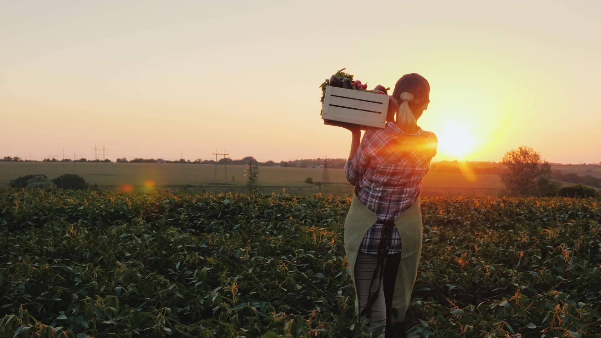 Fomentar la alimentación sostenible con las prácticas que lleva a cabo Serunion