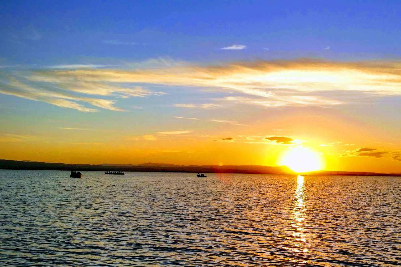 Descubrir los encantos de la Albufera de la mano de Albumar