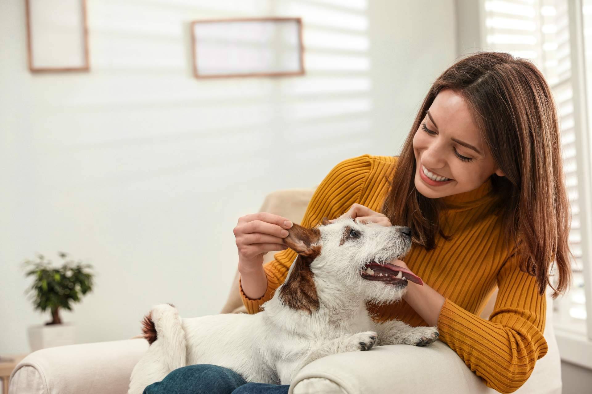 Una aplicación con contenido de mascotas segura, divertida y entretenida, ClickGuau