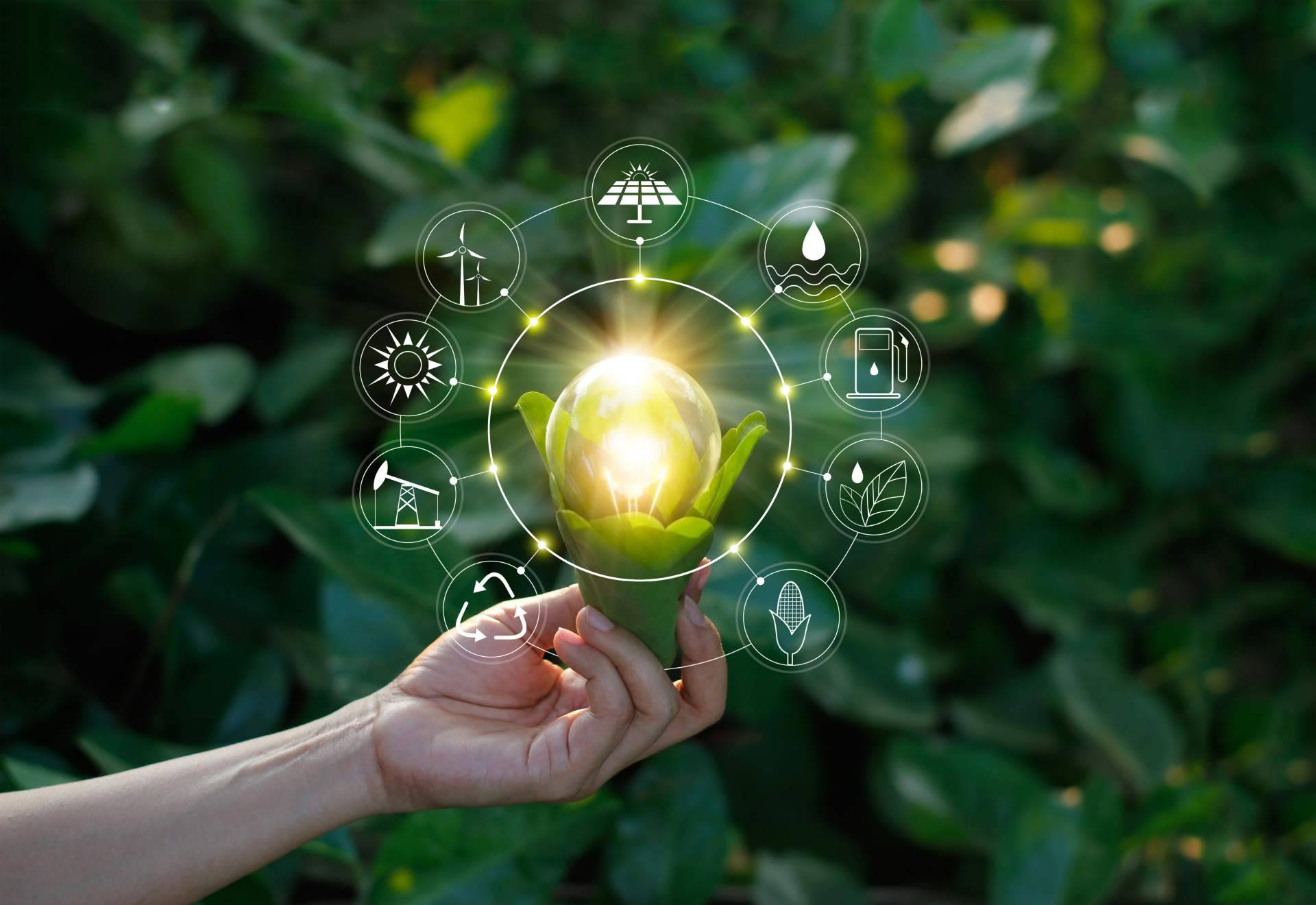 Multienergía Verde, hacia un futuro sostenible