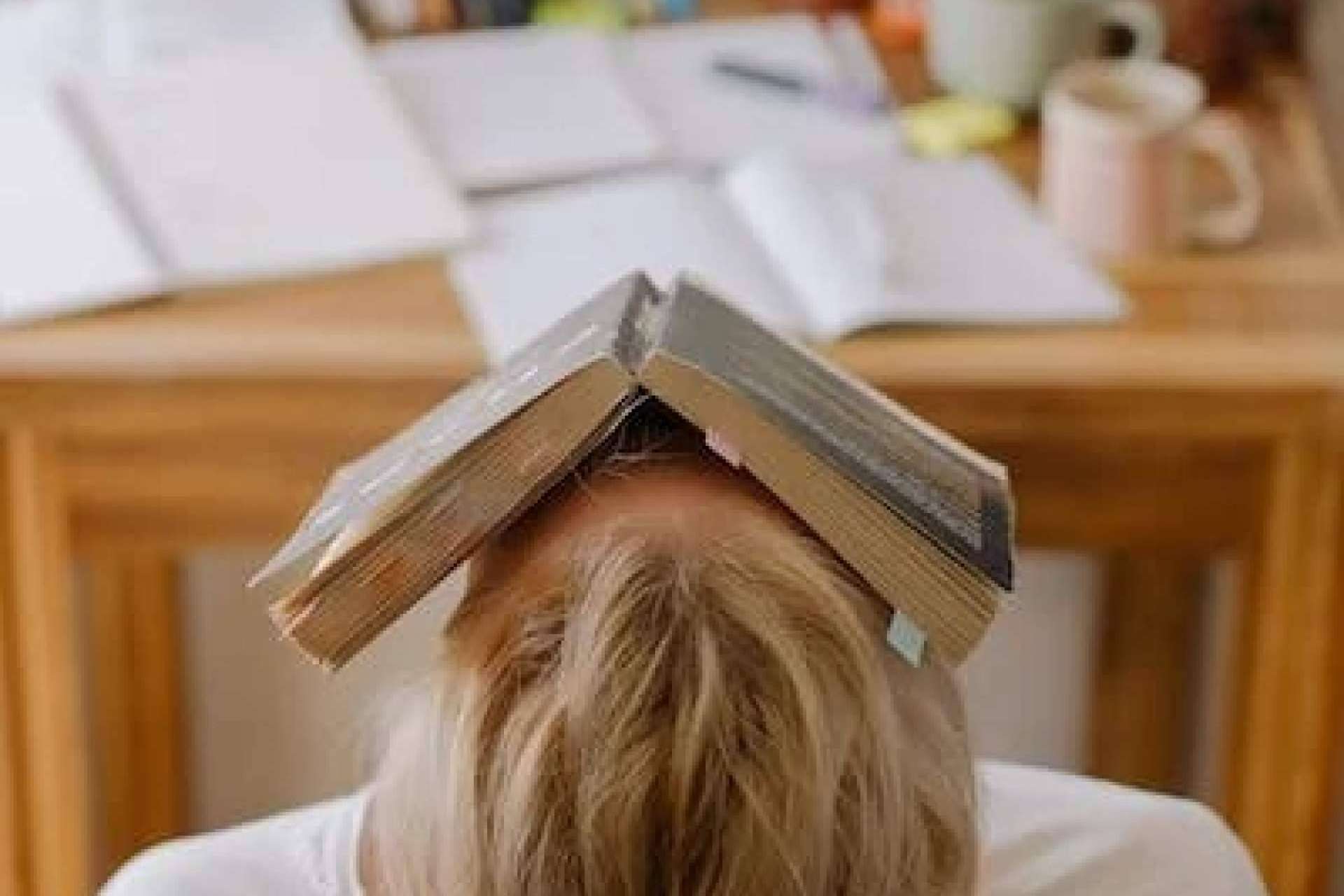 Terminar la tesis de posgrado con Pryectla, apoyo experto para la tesis y una investigación innovadora