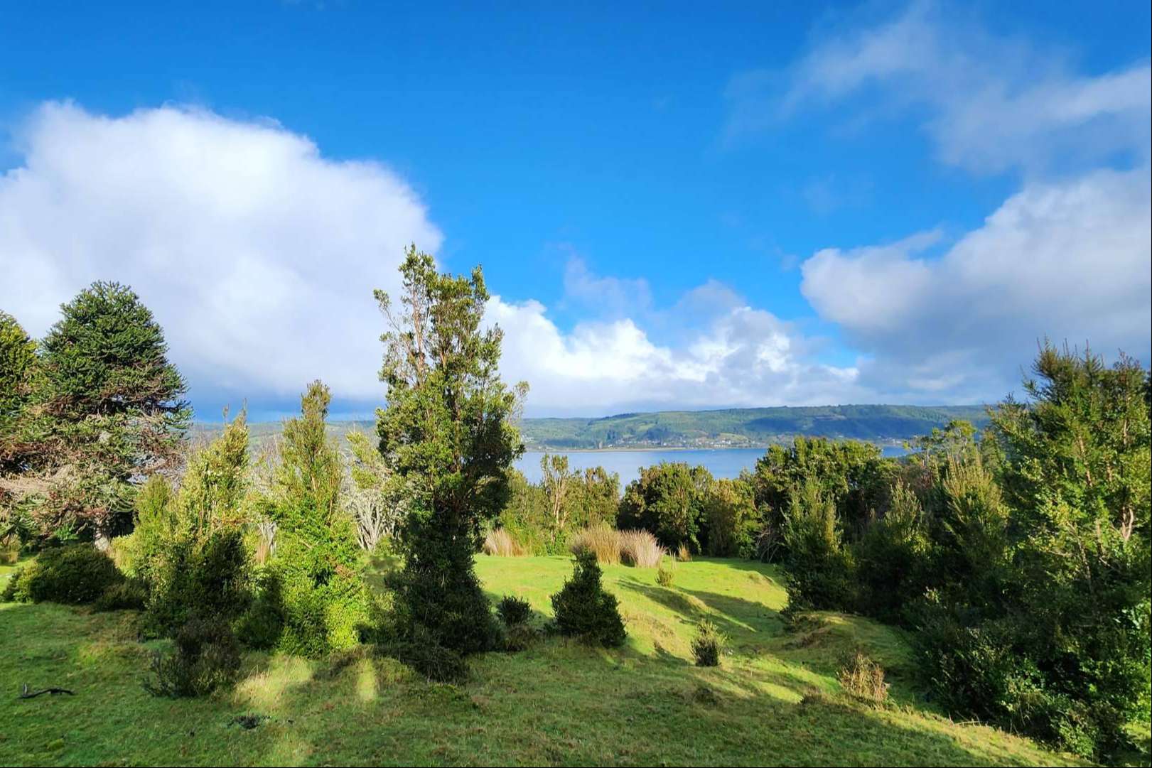 Chiloé, un destino emergente que ofrece oportunidades únicas de inversión, con Latitudes Australes