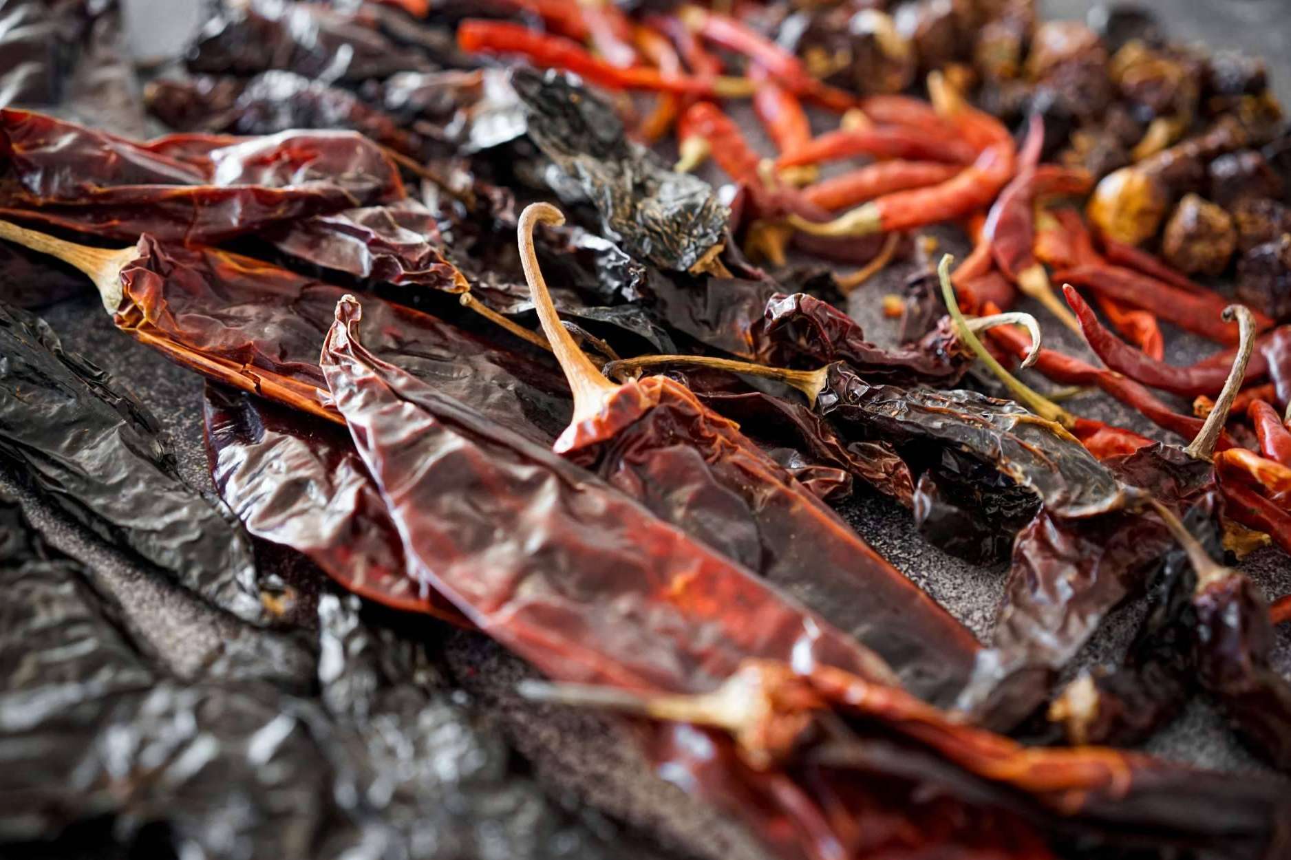 Ingredientes mexicanos para tener en casa; Maíz Maya apuesta por la calidad y la tradición