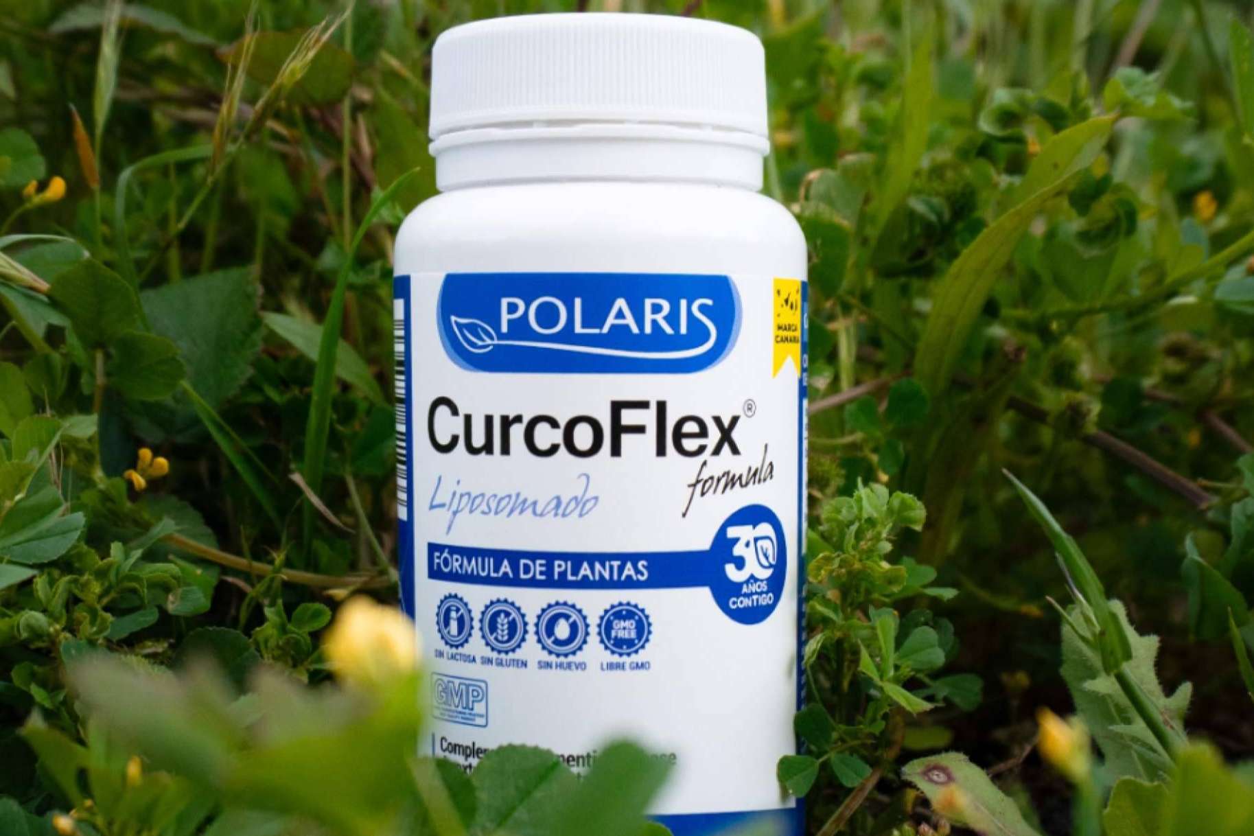 El secreto dorado de la salud articular; el producto reformulado Curcoflex Liposomado de Polaris Formula