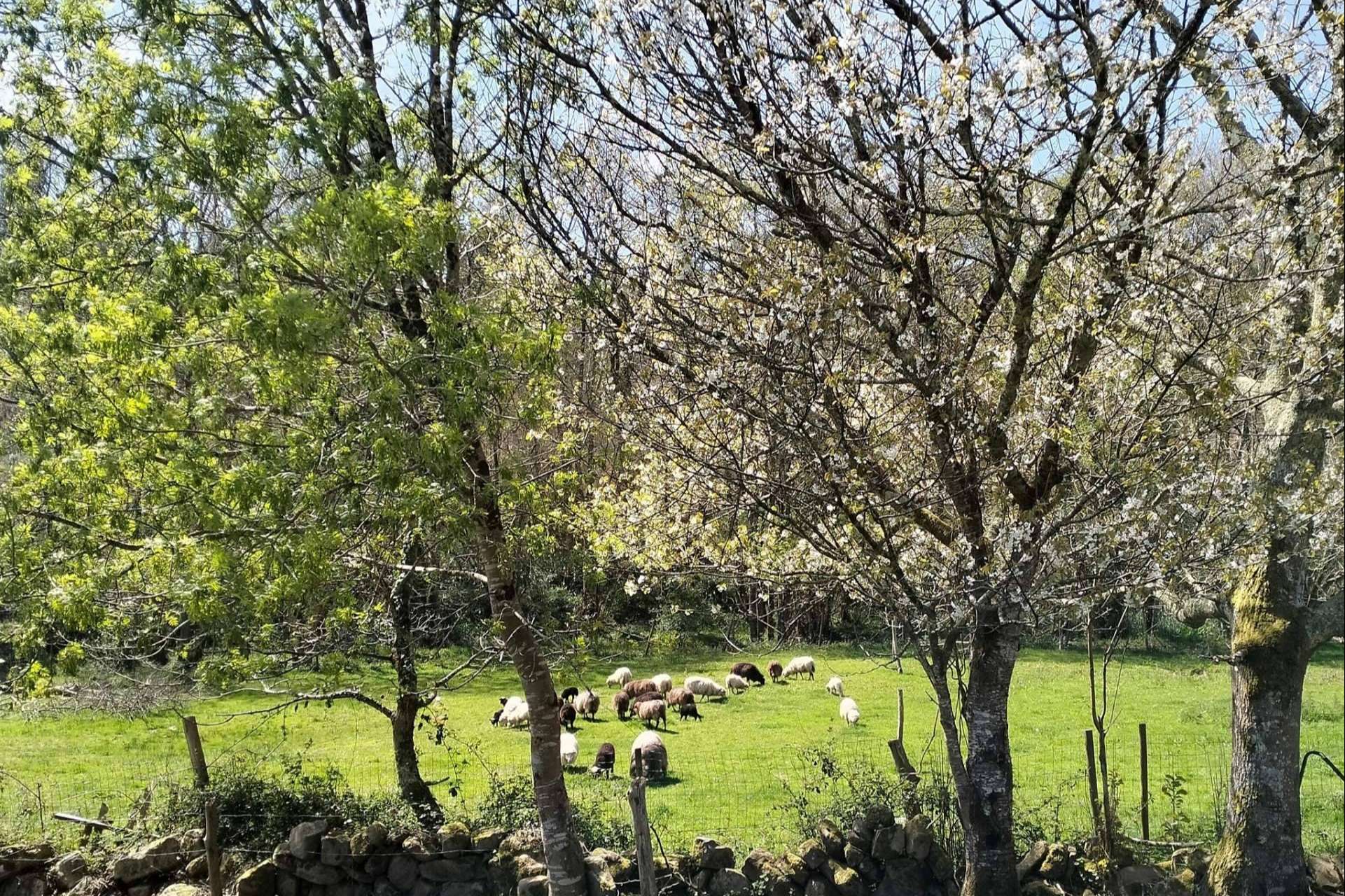 Paisaje rural y sostenibilidad; 30 años de reserva ecoturista en Villaviciosa
