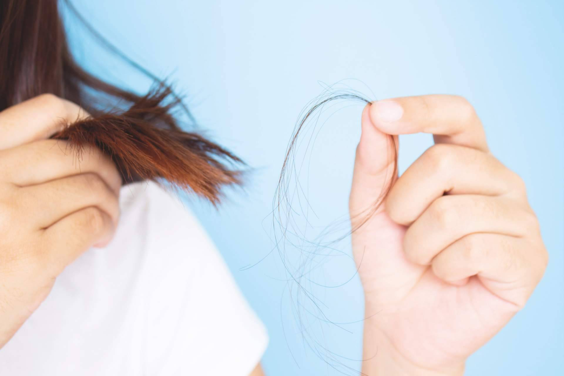 La caída del cabello en otoño; cómo influyen los cambios estacionales en el ciclo capilar